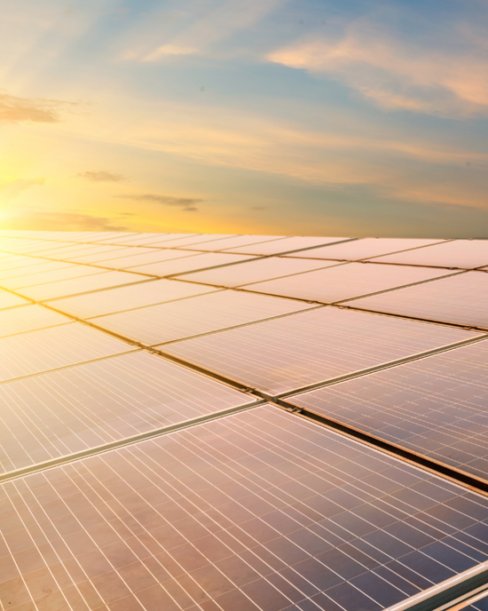 Sunrise orange bluey over large solar array 